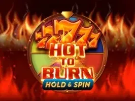 Hot to Burn Hold and Spin™ icon